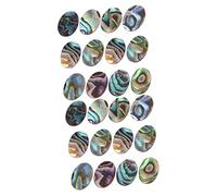 OSALADI 2 Ensembles Bijoux D'ormeau Et De Coquille Perles De Charme Perles D'ormeau Pendentif Coquillage Charmes Pour Colliers Breloques Pour La Fabrication De Bijoux 12 Pièces * 2