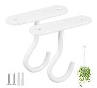 OSALADI 2 Pièces Crochet de Plafond pour Plantes Suspendues en Fer Blanc | Montage Mural Intérieur, Usage pour Jardinières et Lanternes, Style Moderne Épuré, Installation Facile