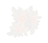 OSALADI 3 Pièces Patches de Dentelle pour Vêtements Appliques Décoratives Diy pour Robes et Sacs Broderie et Fashion pour et Personnaliser Vos Textiles