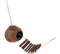OSALADI Cachette pour Reptiles et Crabes Hermites en Bois, Abri de Coquillage avec Échelle, Accessoire Résistant pour Terrarium et Boîte à Reptiles
