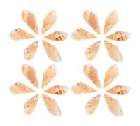 OSALADI Charmes de l'océan Conque Percée 100 pièces pour Création Bijoux DIY Bijoux Miniatures Bracelets Colliers Accessoires Faciles à Assortir