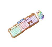 OSALADI Clavier Mécanique Rétroéclairé Et Souris Filaire Ergonome pour Gamer Pc, Blanc Arc-en-Ciel, Ensemble USB Confortable, Touches De Jeu Précises, Usage Gaming Professionnel