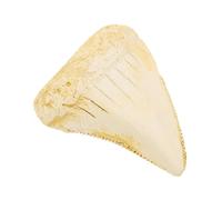 OSALADI Dent de Requin Fossile Dent de Requin Réaliste en Résine, 2,4x2, Simulation Mégalodon, Décor Rétro pour Garçon et Filles, Crafts et Décoration Intérieure