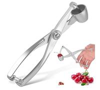 OSALADI Pince à Extraire Le Noyau, Denoyauteur Cerise Compact en Métal Argenté, Léger et Portable pour Cerises et Jujubes, Usage la Cuisine