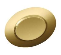OSALADI Plaque en Acier Inoxydable Ronde pour Barbecue et Camping | Résistante à Pression, Facile à Nettoyer au Lave-vaisselle, pour Aliments et Viande Bovine, Coloris Or