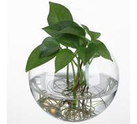 OSALADI Stations de Propagation en Verre Transparent 13,5 CM Lot de 4 Jardinières Murales Suspendues pour Plantes d'Intérieur Décoration Murale Maison et Bureau