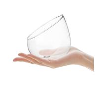 OSALADI Vase en Verre Incliné pour Terrarium de Bureau Bocal en Verre Transparent pour Plantes Succulentes Jardinière Écologique Décorative Récipient Micro Paysage Maison et Bureau