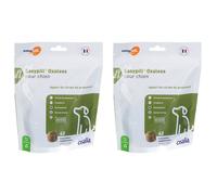 Osalia Easypill® Oxaless pour Chien Pâte 2x168 g