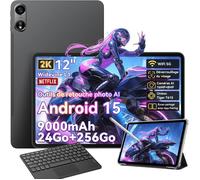Pad 100 Tablette Tactile 12 Android 15 2.4G+5G Wifi RAM 24Go ROM 256Go/SD 2To 9000mAh 16+8MP Dual SIM Gris Avec Clavier K1