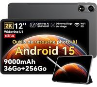 Pad 100 Tablette Tactile 12 Android 15 2.4G+5G Wifi RAM 36Go ROM 256Go/SD 2To 9000mAh 16MP+8MP Dual SIM,Mode PC WPS - Gris