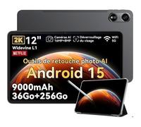 Oscal Pad 100 Tablette Tactile 12" Android 15 2.4G+5G Wifi RAM 36Go ROM 256Go/SD 2To 9000mAh 16MP+8MP Dual SIM,Mode PC WPS - Gris Gris G