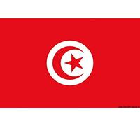 OSCULATI Pavillon Tunisie 20 x 30 cm