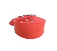 Osdhezcn Collier large rembourré en cuir véritable pour lévriers italiens - Confortables - Accessoires pour chiens - Fournitures pour animaux de compagnie