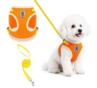 OSDUE Ensemble Harnais et Laisse pour Chien, Réfléchissant, Réglable, XL | Harnais Chien Anti Traction pour Promenade, Maille Souple, Facile à Mettre avec Anneaux Métal pour Petits Chiot Chat, Orange