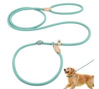 OSDUE Laisse Éducative pour Chien, 1.8M Nylon Résistant Laisse Multifonction Réglable Lasso avec 2 Mousquetons Mains pour Petite à Grande Taille Promenade Dressage Entraînement, Cyan