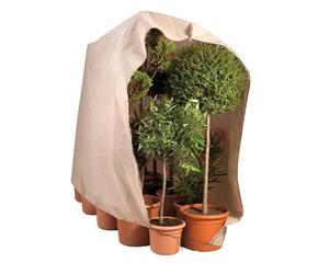 Ose Housse d'hivernage Large pour Plante 200 x 240