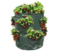 Ose Sac à fraisiers - Sac de Plantation pour Fraises - X2 Vert