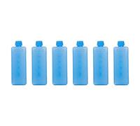 Oshhni Ensemble de 6 Blocs réfrigérants pour congélateur Portable Qui Gardent Vos Aliments Frais Plus Longtemps. Blocs de congélation pour Sac Isotherme, 11.5cmx4cmx3cm