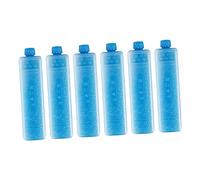 Oshhni Ensemble de 6 Blocs réfrigérants pour congélateur Portable Qui Gardent Vos Aliments Frais Plus Longtemps. Blocs de congélation pour Sac Isotherme, 15.8cmx4cmx4cm