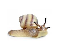 Oshhni Insecte Figurine Animal Jouet Éducatif Modélisme Décoratif Manuel Collection Réaliste Adapté pour Enseignants Salle de ntomologie, Escargot 1667