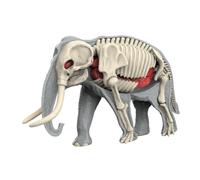 Oshhni Modèle de corps d'animal et de ses organes : outil pédagogique réaliste pour l'étude de la biologie animale, 3109