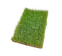 Oshhni Modèle de touffe d'herbe Mini Herbe Train Chemin de fer Disposition Multi-usage Pelouse Touffes Modèle pour Chemin de fer, Vert Printanier