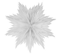 Oslo Étoile de Noël Ø80 Blanc