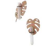 Osmond Rack de Plante Verte de Paroi de la Feuille pour Plantes Intérieures Station de Propagation des Plantes pour Les Femmes Mom Plant Plant Lovers Gifts