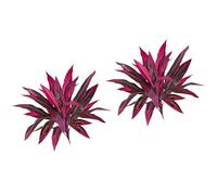 OSNIYAW Plante artificielle Dracaena Marginata de 60 cm de haut avec feuilles résistantes à la décoloration pour décoration de table, sol, jardin, maison, terrasse, buissons frauduleux