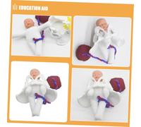 OSOLADY 1 Ensemble De Modèles De Bassin Pour L'enseignement De Naissance : Simulateur De Processus De Naissance Du Bassin Pour L'éducation Prénatale Et La
