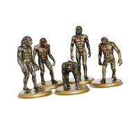 OSOLADY 5 pièces Modèle Peuple Ancien Figurines Homme Singe Éducatif Modèle Humain Évolution Historique Créatif Garçon Fille Couleur Or Foncé