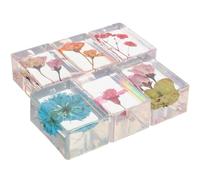 OSOLADY Bloc-notes en Résine Ambre Fleurs Séchées, 6 Pièces, Forme Rectangulaire, Résistant la Déformation, pour Collection ou Présent Décoratif Style Aléatoire