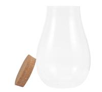 OSOLADY Bouteille en Verre pour Terrarium Hydroponique Multifonctionnelle Conteneur à Bryophytes, Décor Intérieur pour Bureau ou Chambre en Verre et Bois