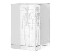 OSOLADY Modèle Squelette Humain en Cube de Cristal Verre Sculpté 3D pour Enseignement Scientifique et Décor Maison