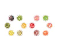 OSOLADY Paillettes pour Ongles Boîte 12 Couleurs en Pâte Polymère Forme Tranches de Fruits Décoration Nail Art DIY et Accessoires Manucure Professionnels