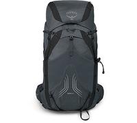 Osprey Exos 38 Sac à Dos Ultra léger pour la randonnée, Gris, L-XL Hommes