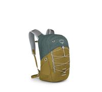 Osprey Quasar Green Tunnel/Brindle Brown