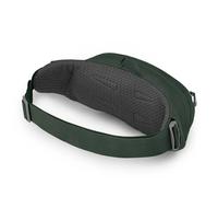 Osprey Sac banane Daylite Unisexe 2L Green Belt/Green Canopy O/S