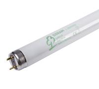 Lampe Fluorescente 58W Cool White 4000K 150Cm Osram Lumilux