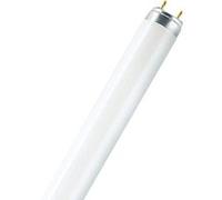 Osram 4058075024458 Éclairage LED, Verre, G13, 7.6 W, Weiß, 60.2 x 2.8 x 2.8 cm [Classe énergétique A+] G