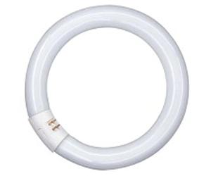 Osram AA408170155-circulaire Tube Fluorescent/l32 865-32w