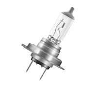 OSRAM Ampoule À Douille 12V Ampoule De Phare Long PY26D-1 65 64180L