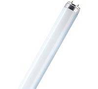 Osram Ampoule L 18 W/865 59 cm