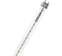 Osram Tube LED T8 Fluora (EM/Direct 230V) Standard Output 6.6W 450lm - 825 Blanc Très Chaud | 60cm - Équivalent 18W