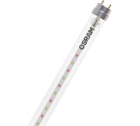 OSRAM Ampoule LED pour plantes LED TUBE T8 36 EM FLUORA 1200 mm 15W 1213.00 mm G13 15 W blanc chaud forme de tube 1 pc(s)