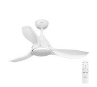 OSRAM Ceiling Fan Bise 1065mm 48W CCT RGB Ventilateur de plafond 48 W (Ø) 1065 mm avec éclairage, avec télécommande, variable