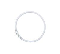 Osram, Ampoule, FC 22 W/840 (2GX13, 22 W)