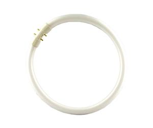 Osram FC 2GX13 830 Lampe circulaire fluorescente Blanc chaud 55 W