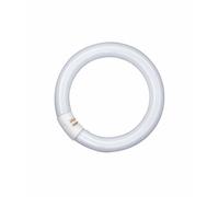 Osram Fluorescent Lumilux C - T9, 865 Lumière Du Jour - 32W - Tube Lumière Lampe