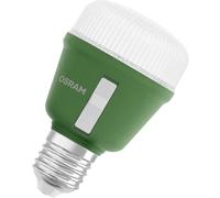 OSRAM HOMELIGHTING 4058075845787 Ampoule pour plantes E27 10 W 1 pc(s)